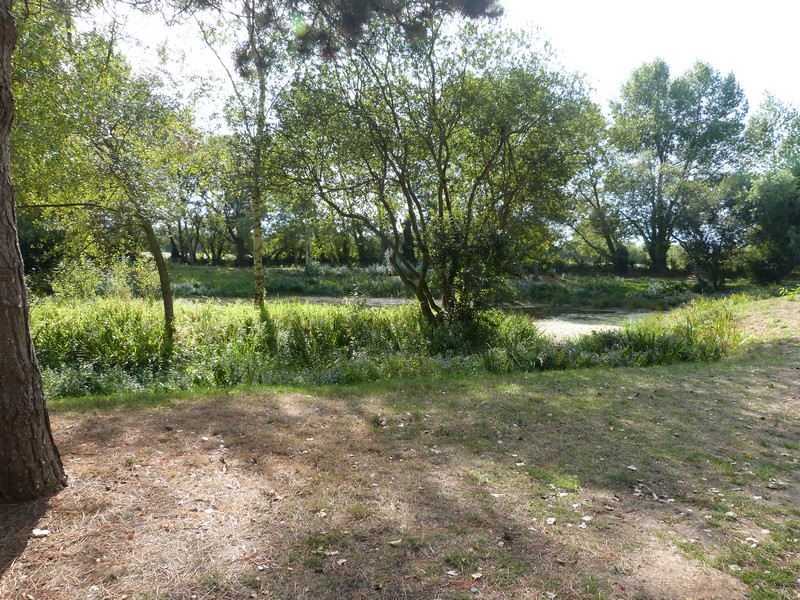 Aire de Pique Nique > Mare de la commune