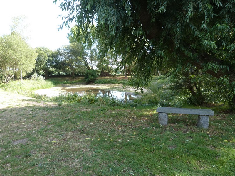 Aire de Pique Nique > Mare de la commune - photo 3