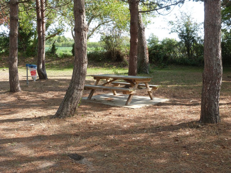 Aire de Pique Nique > Mare de la commune - photo 2