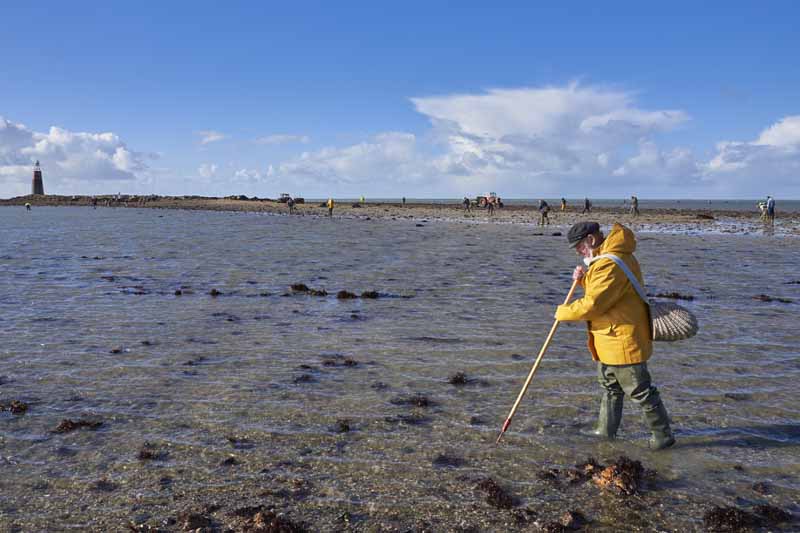 Petit musée du littoral et de la mer