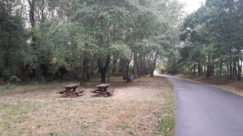 Aire de Pique Nique > Les peupliers - Annoville