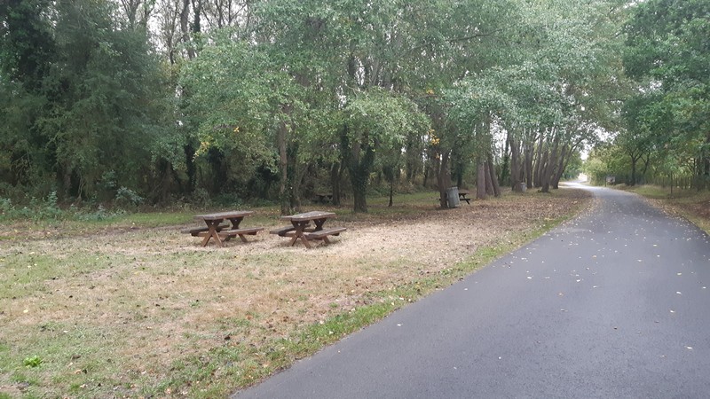 Aire de Pique Nique > Les peupliers - Annoville - photo 4