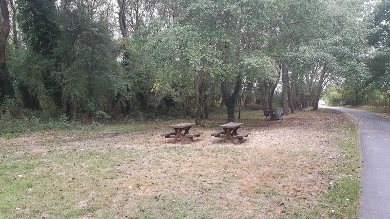 Aire de Pique Nique > Les peupliers - Annoville - photo 3