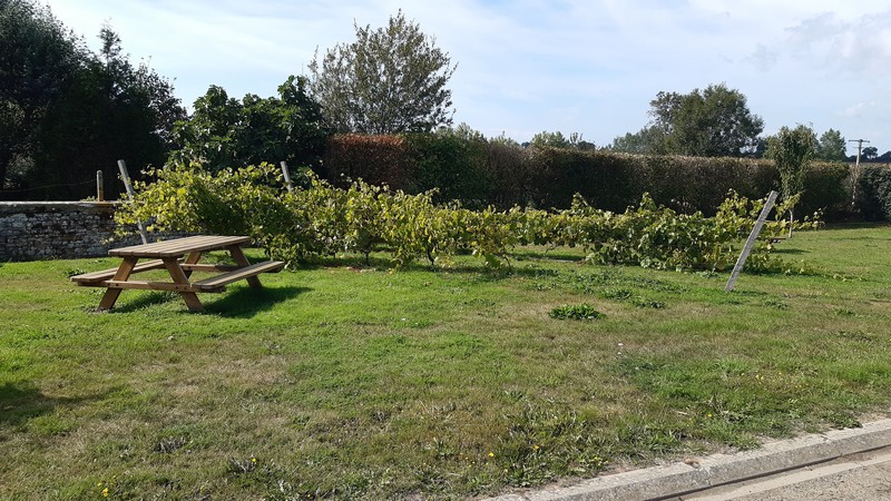 Aire de Pique Nique > Contrières - photo 2