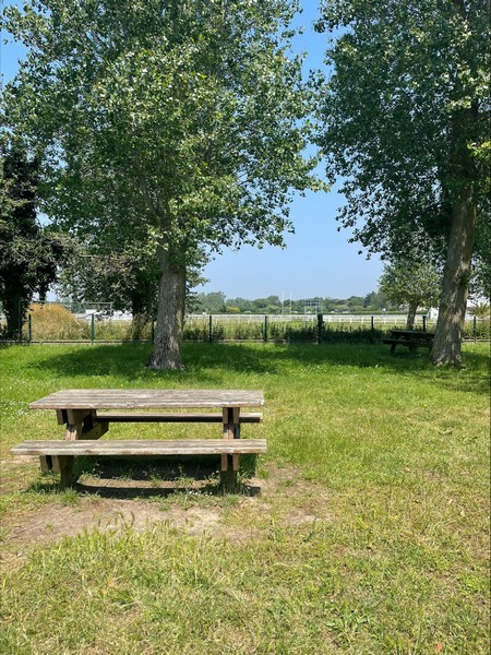 Aire de Pique Nique > Rue du temple - photo 2