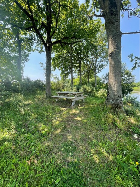 Aire de pique-nique > La mare aux grenouilles