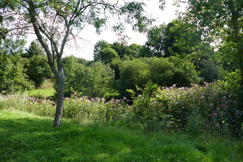 Aire de Pique Nique > Moulin de Sey - Trelly - photo 2