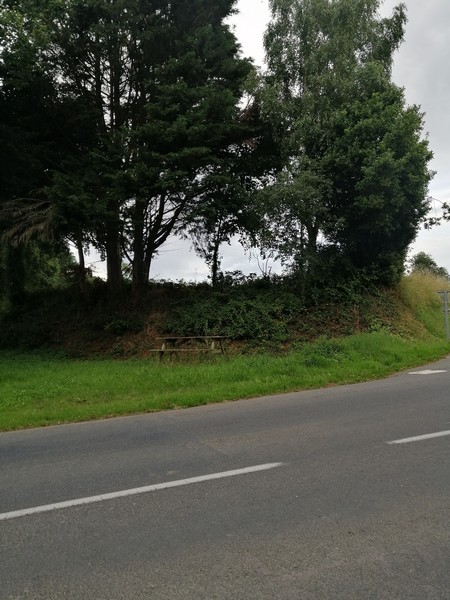 Aire de pique-nique > D58 - photo 2