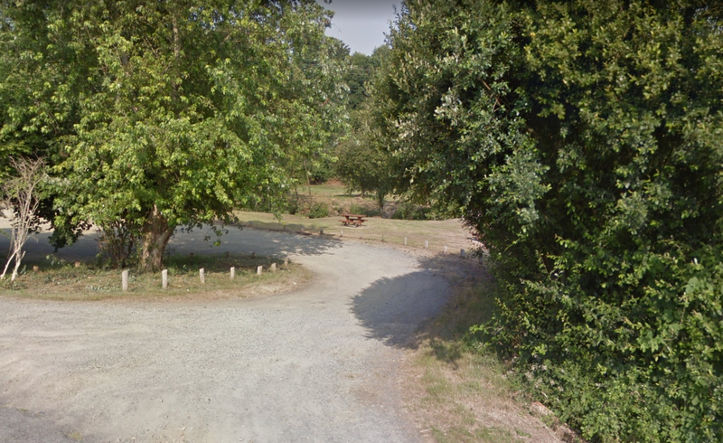 Aire de Pique Nique > Ver