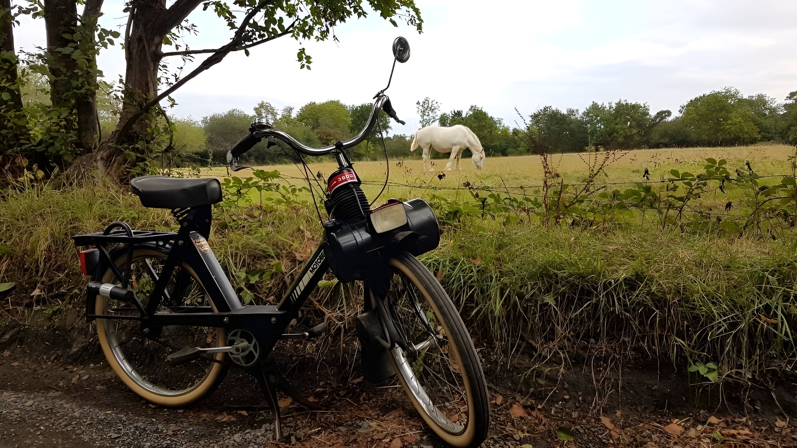Gîtes les Pourquoi Pas !, Bayeux - photo 6