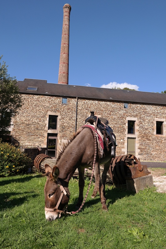 La Route des Chiffonniers - Étape 4 - Villedieu-Les-Poêles - Saint-Pois