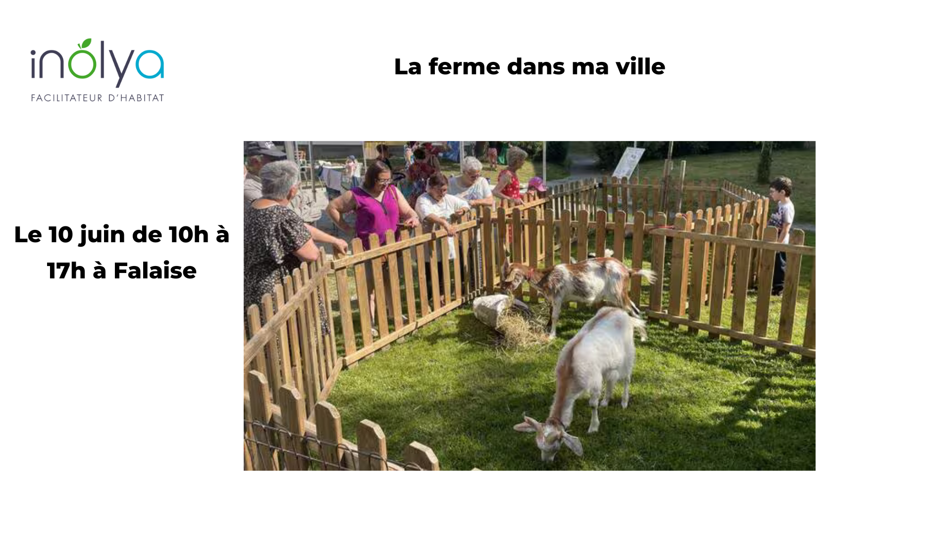 La ferme dans ma ville