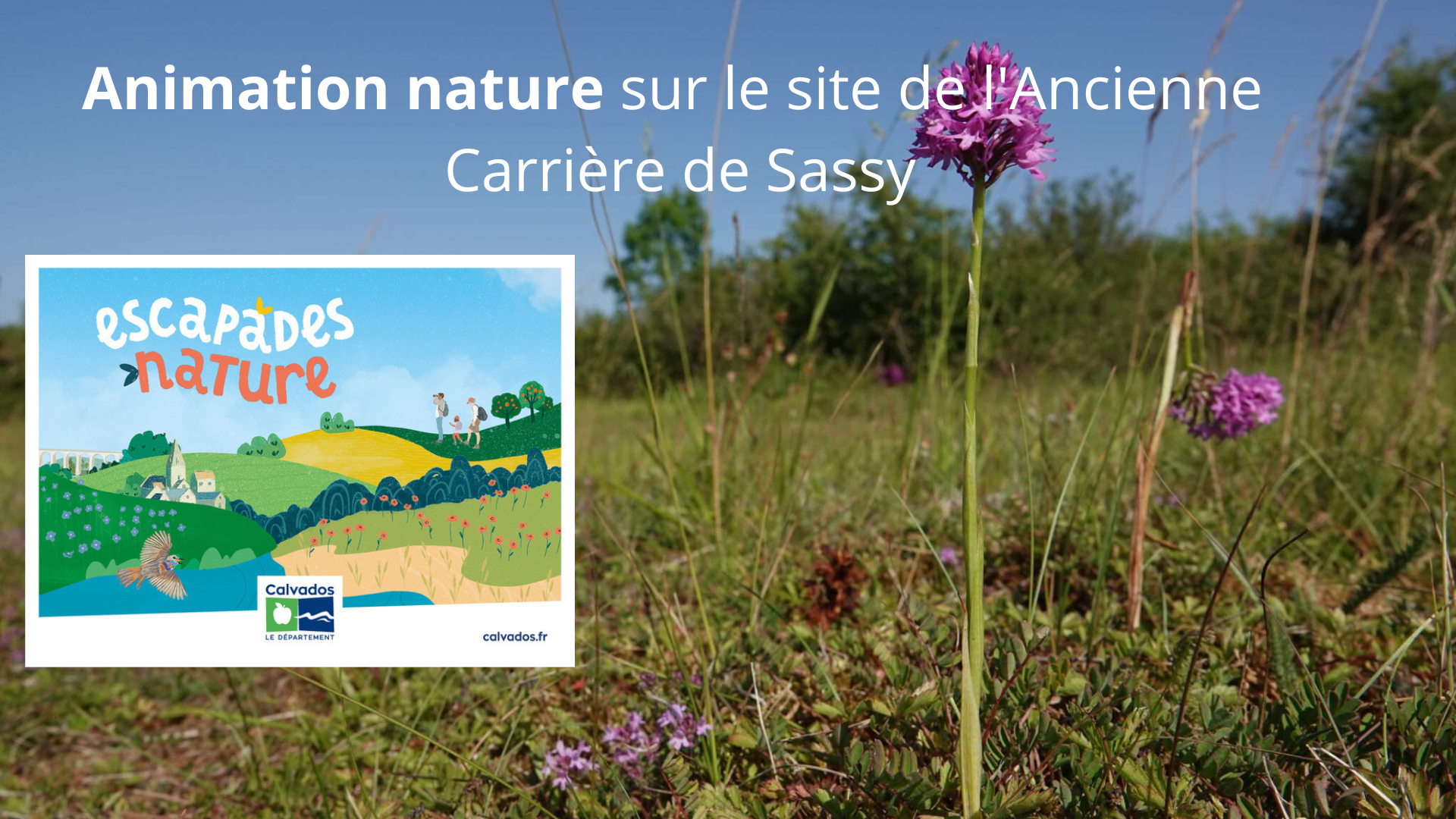 Animation nature sur le site de l'Ancienne Carrière de Sassy