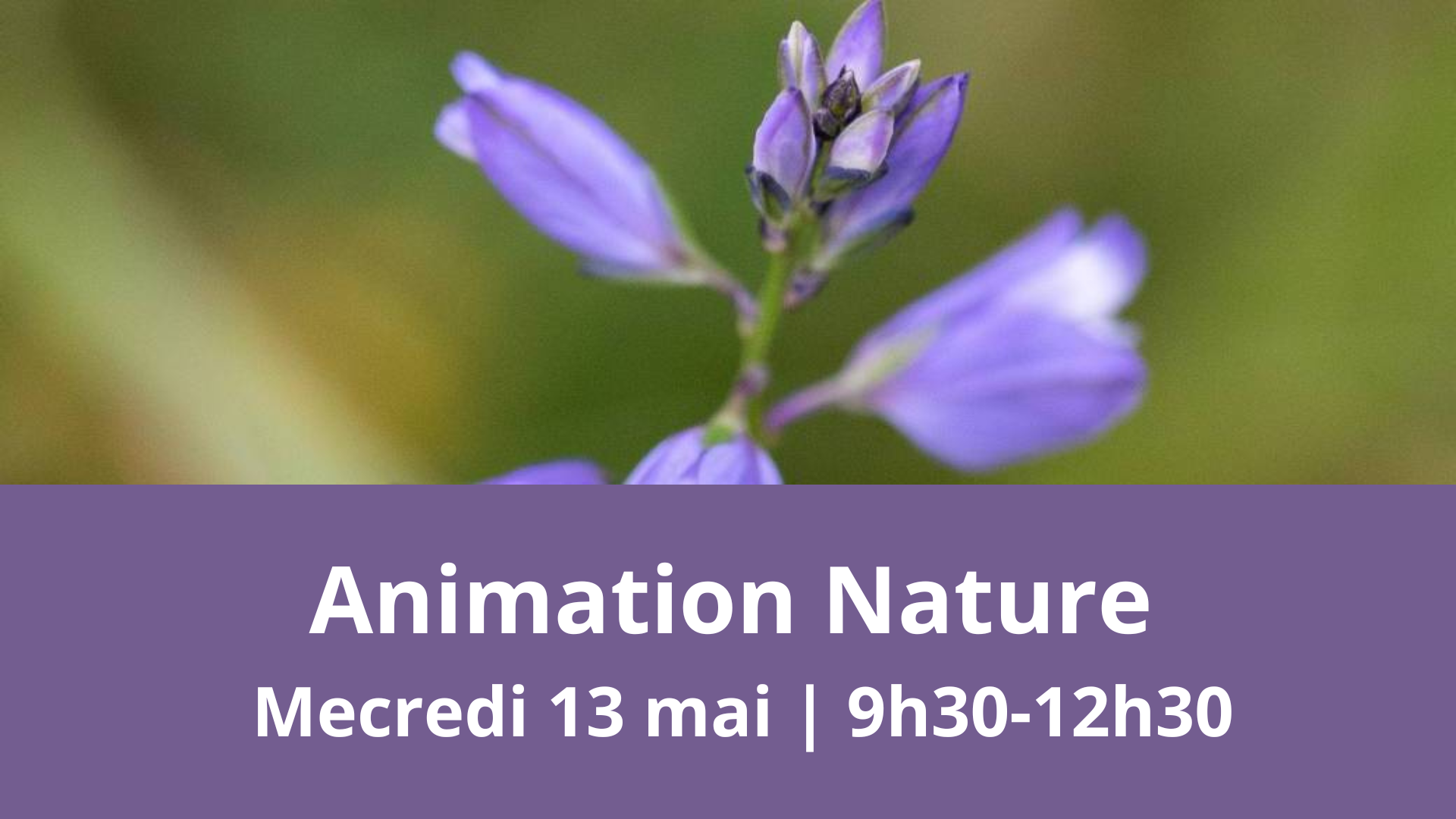 Animation nature sur la réserve naturelle du coteau de Mesnil-Soleil