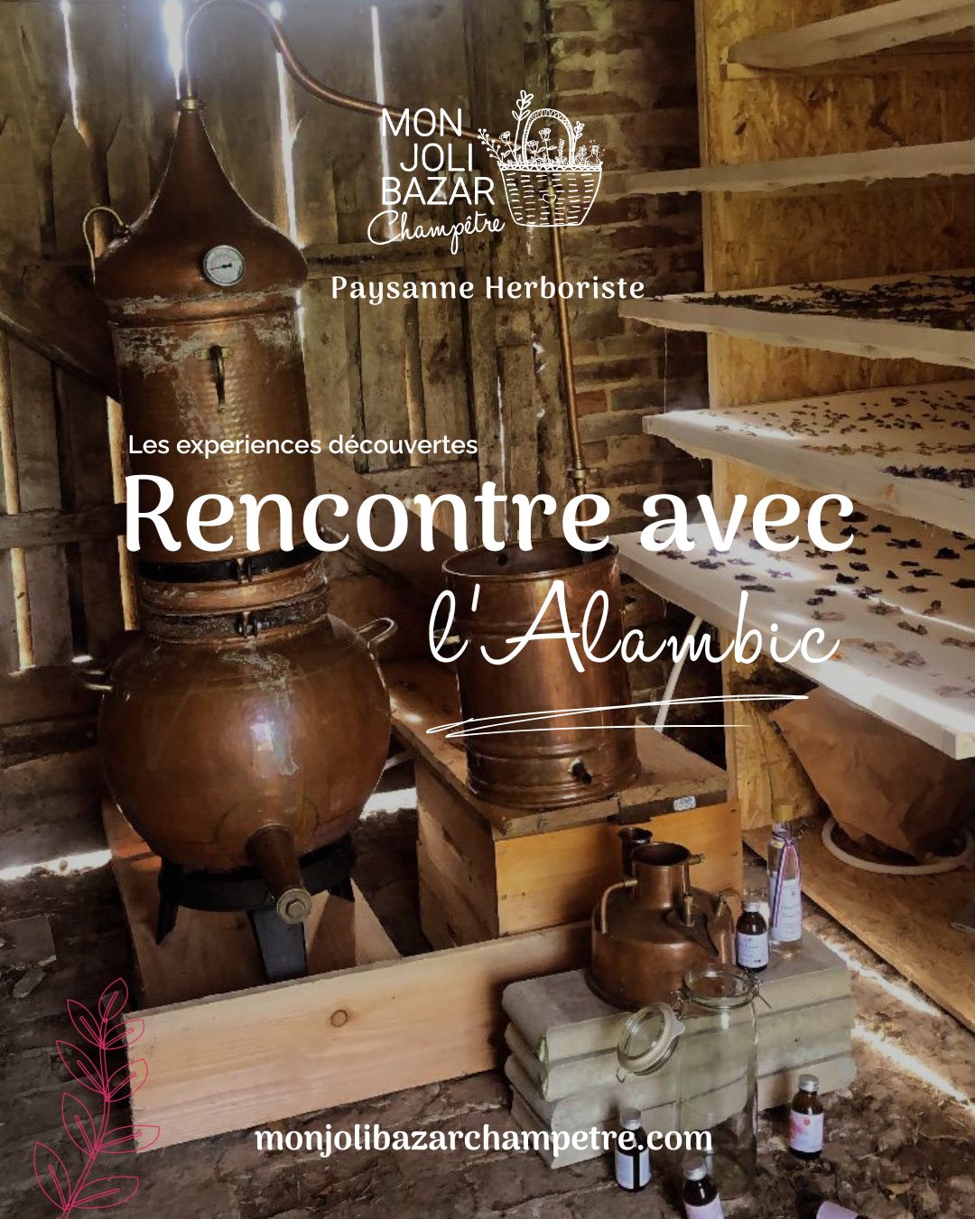 Les expériences découvertes "Rencontre avec l’alambic"