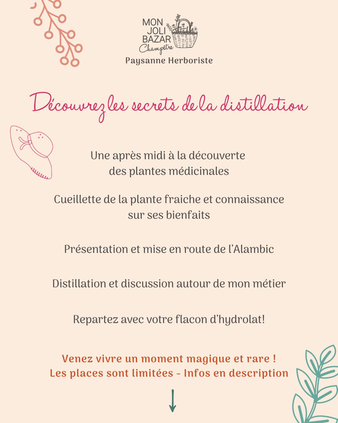 Média additionnel 2