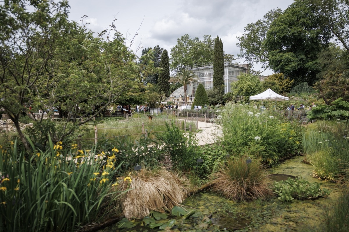 Jardins sensibles
