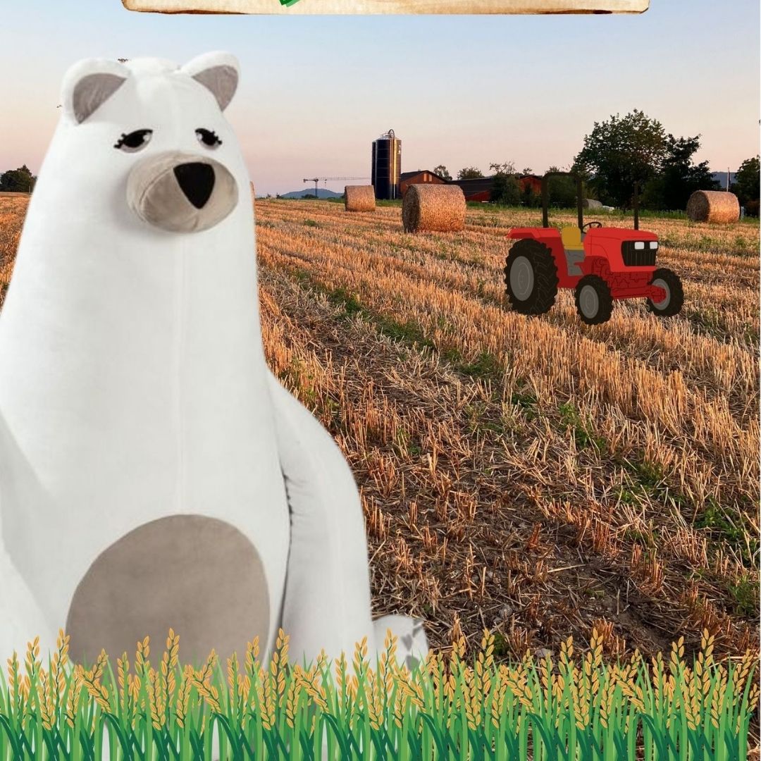 Les incroyables aventures de Ted