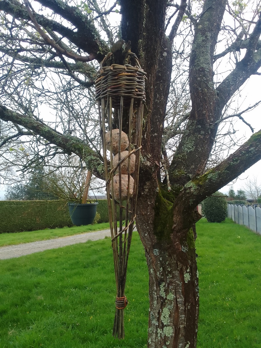 Atelier parent/enfant "Fabrication d'une mangeoire à oiseaux en osier"