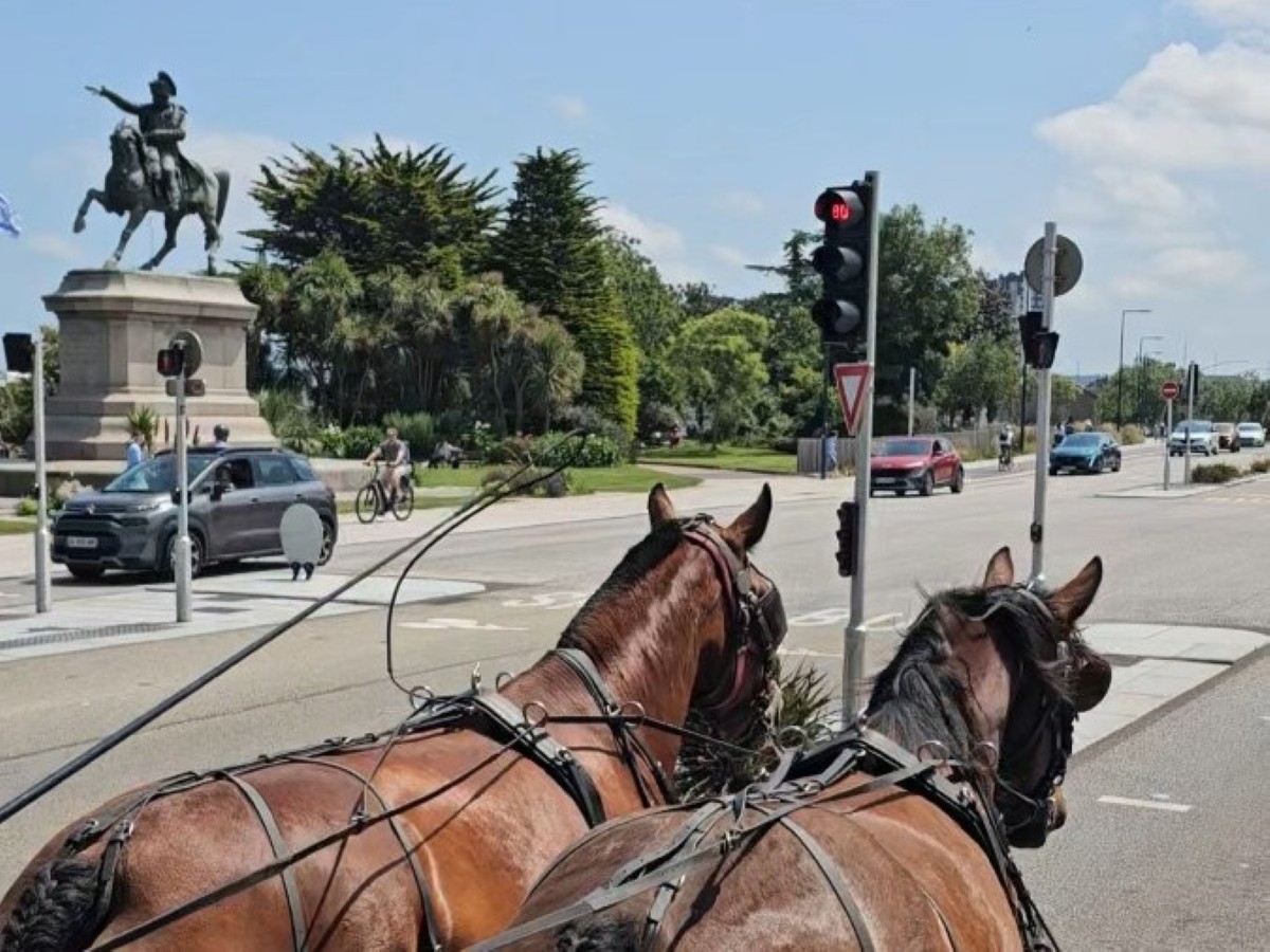 Attelage et Patrimoine en Cotentin