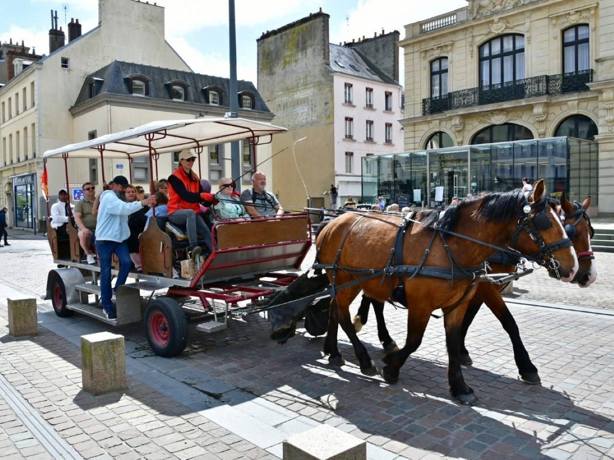 Balades attelées à Cherbourg-en-Cotentin