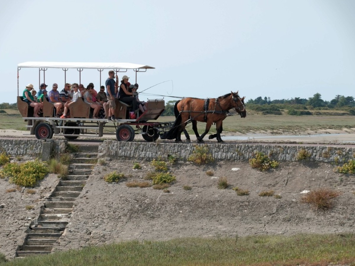 Balade en calèche > Le havre de Portbail