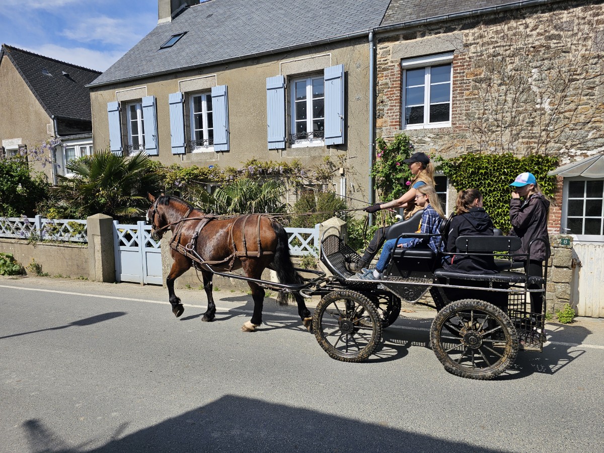 Attelage entre terre et mer > Marie Travert