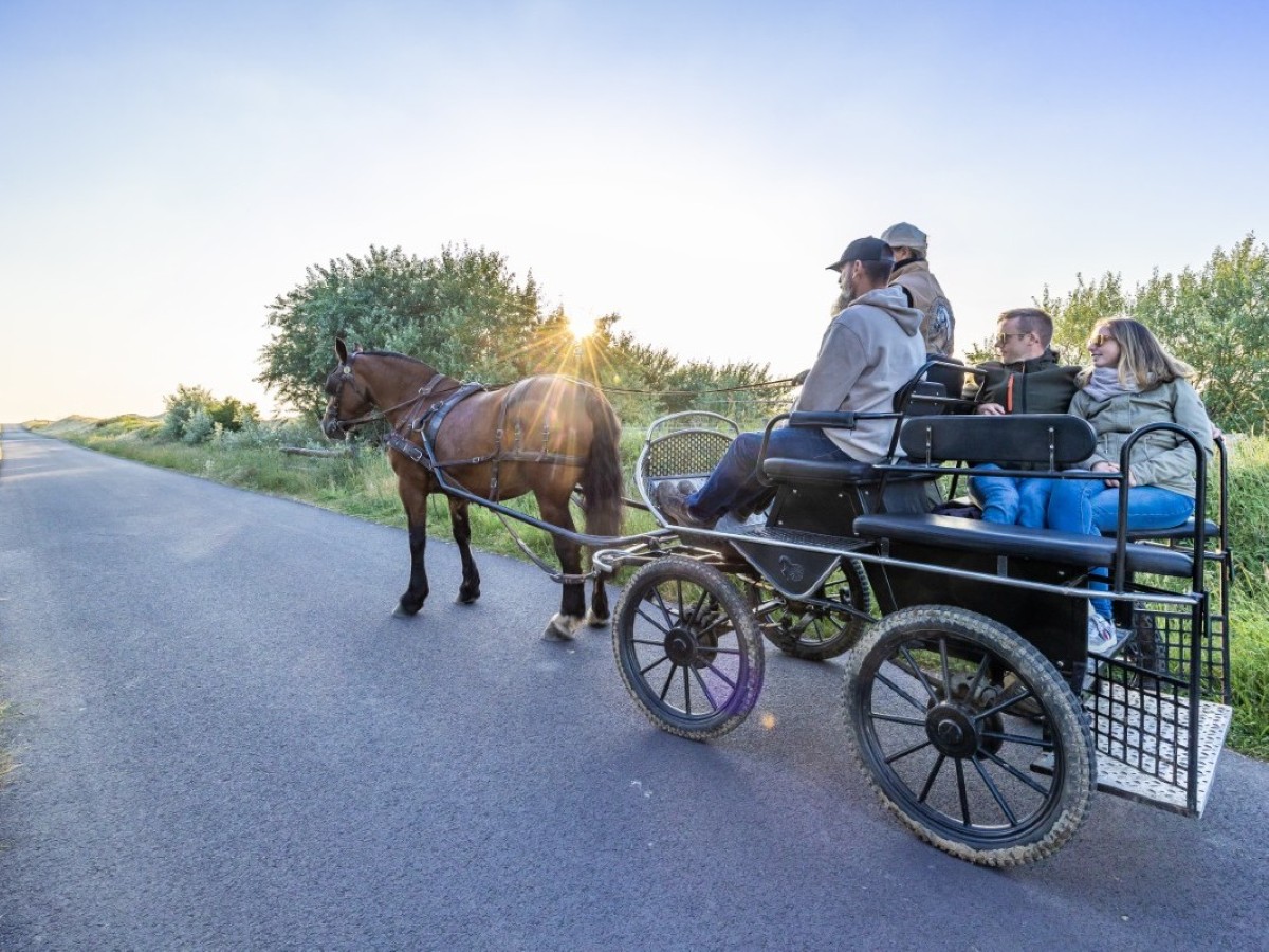 Attelage entre terre et mer > Marie Travert - photo 2