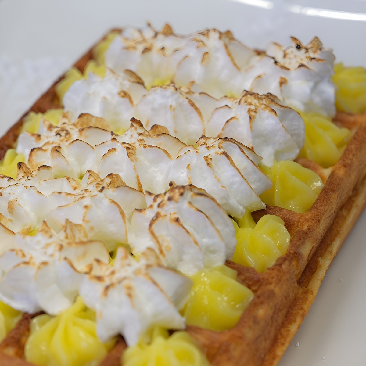 Au Jardin des Curiosithés - photo 2