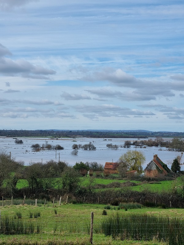 Chambres d'hôtes > La Maison du Mont, Graignes-Mesnil-Angot - photo 5