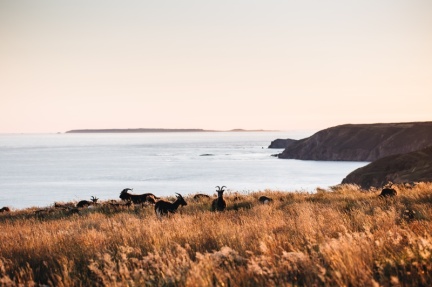 Sû la mé : Excursion week-end à Aurigny