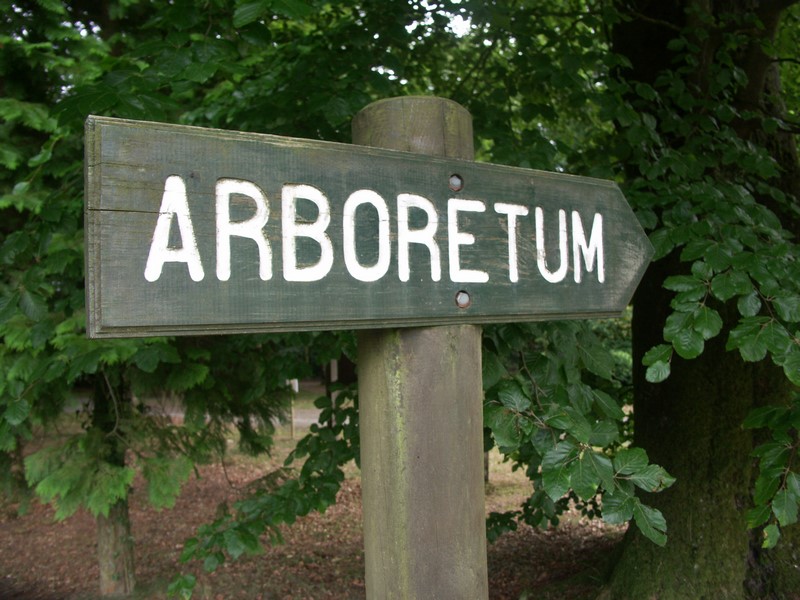 Image de la promenade