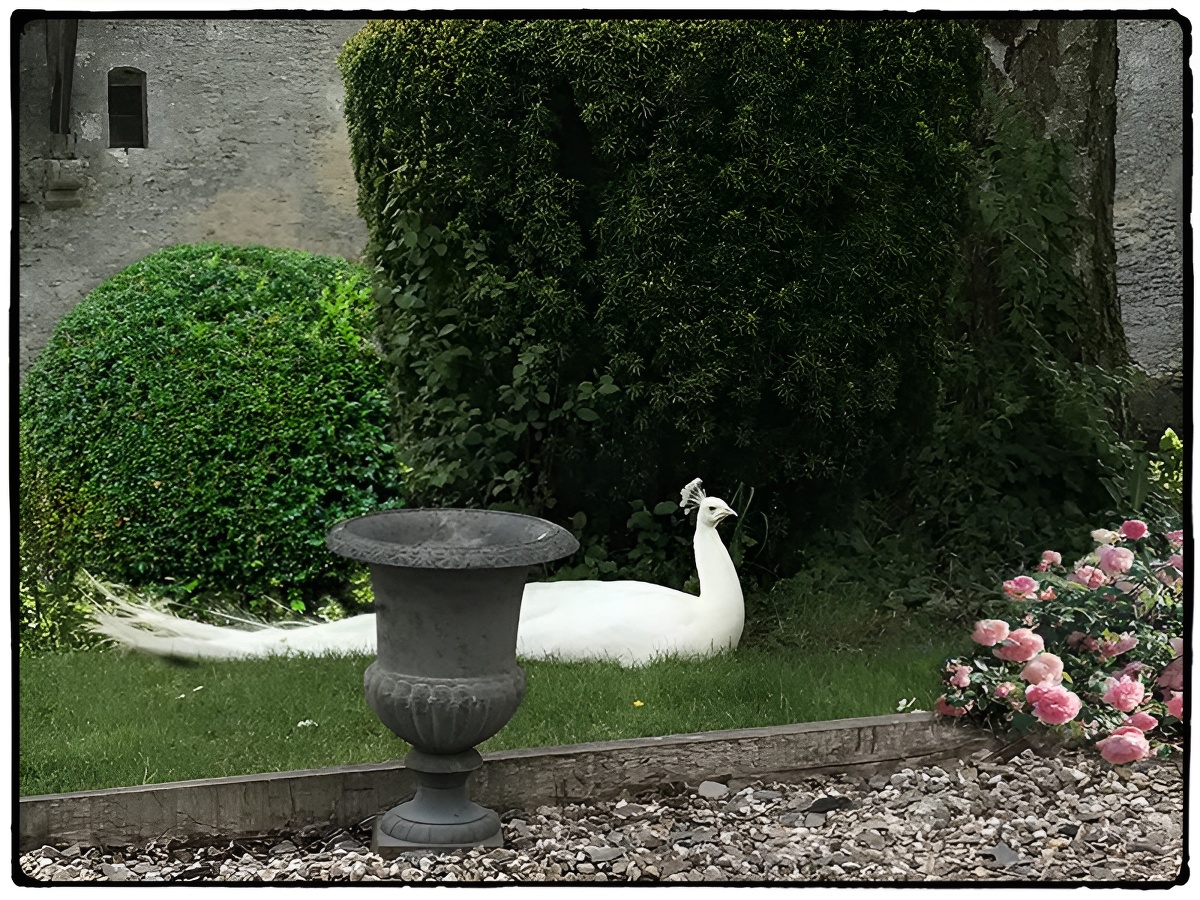Aux 3 gourmands du Château, Saint-Germain-de-Livet