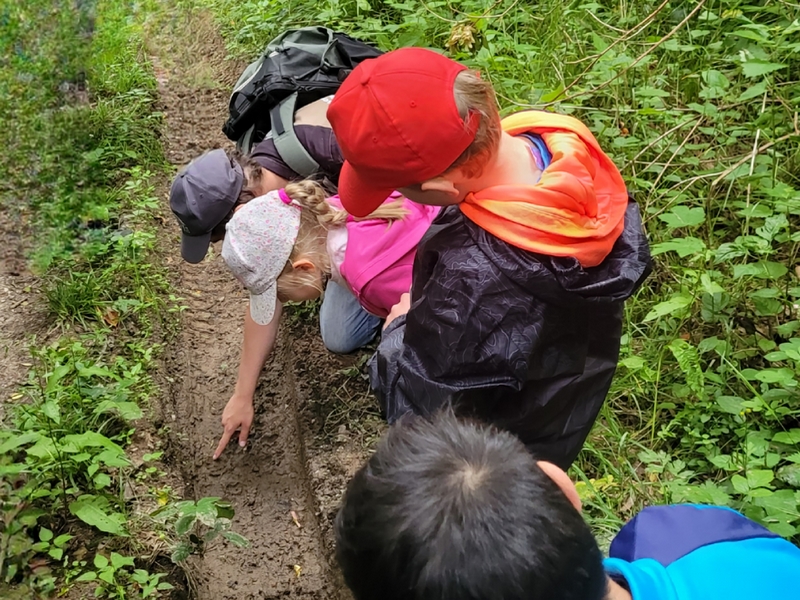 Objectif biodiversité : jeu de piste en pleine nature