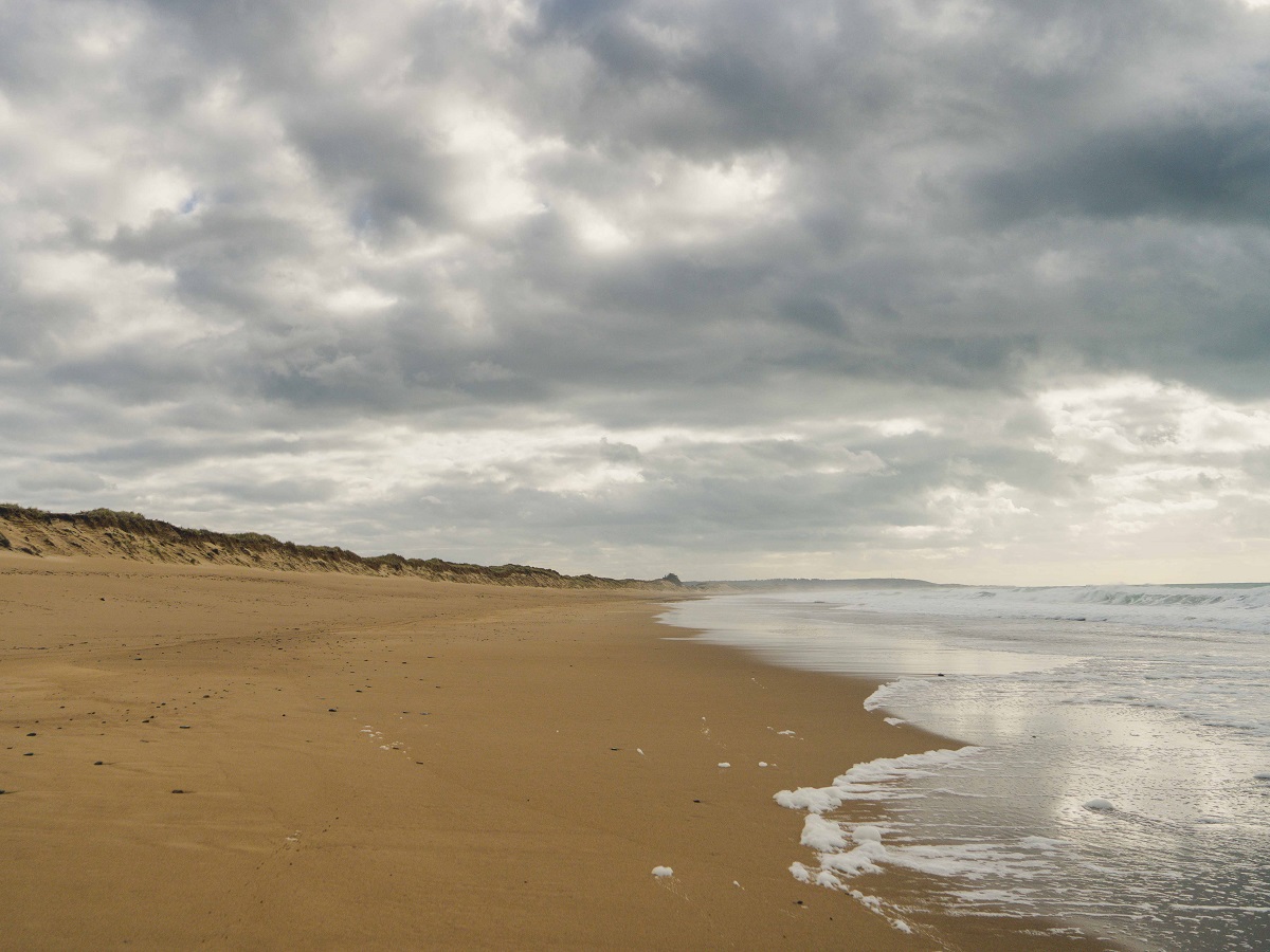 Plage de Surtainville, Surtainville - photo 4