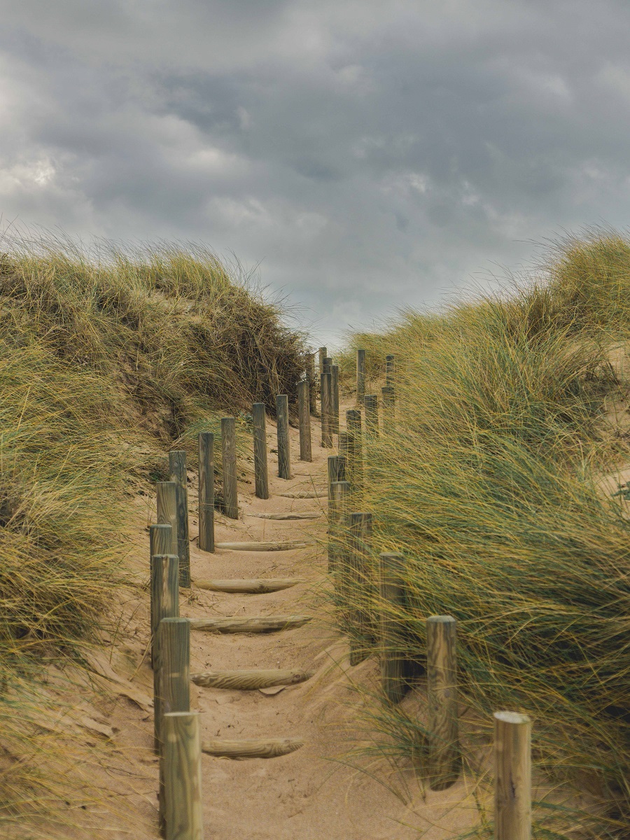 Plage de Surtainville, Surtainville - photo 5