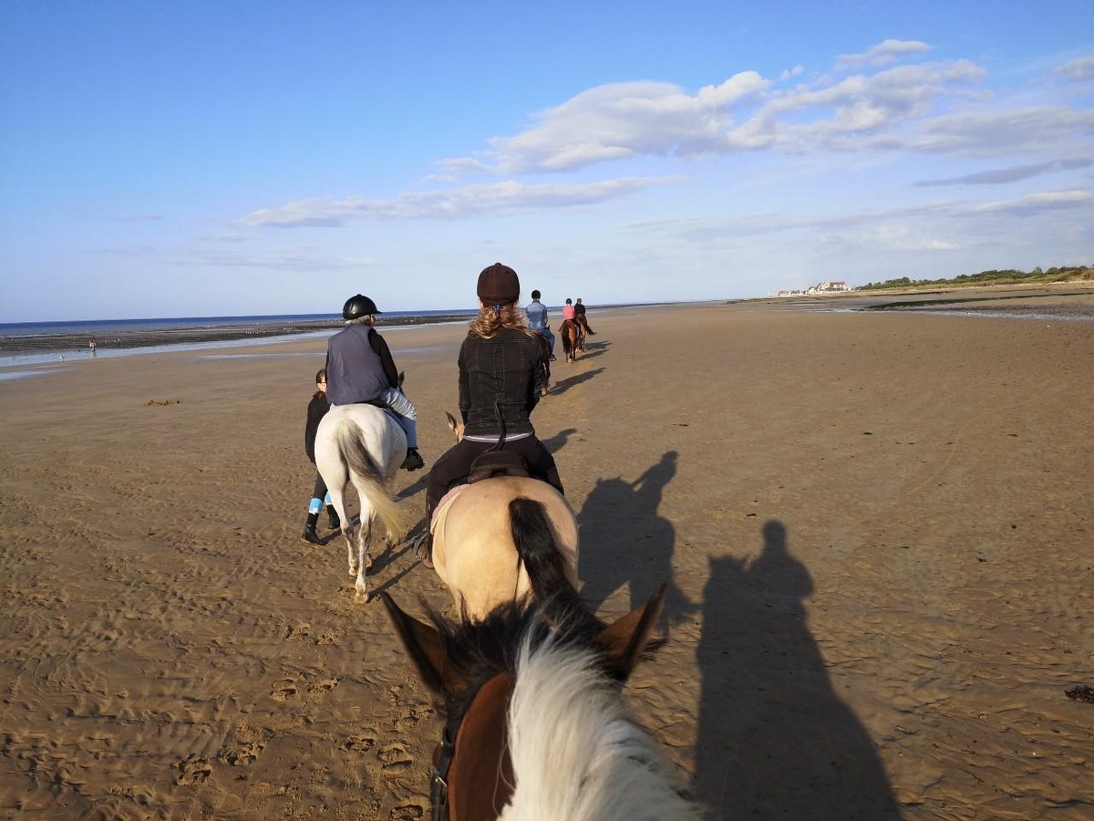 Courseulles équitation, Courseulles-sur-Mer - photo 4
