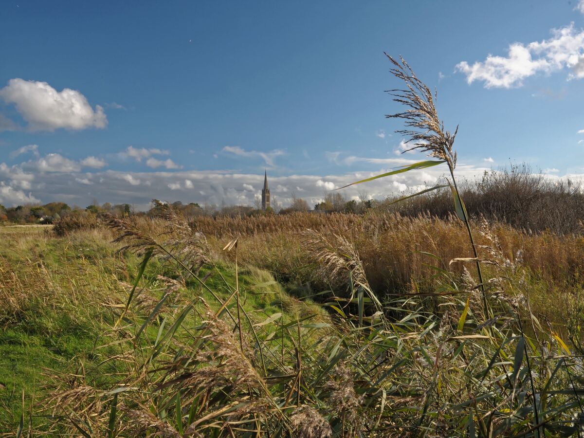 le Marais du platon, Bernières-sur-Mer - photo 2