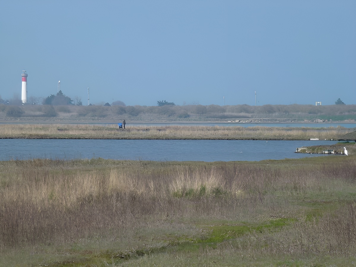 L'estuaire de l’Orne, Sallenelles - photo 10
