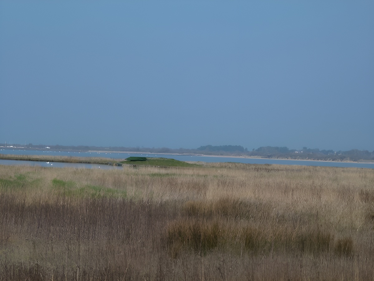 L'estuaire de l’Orne, Sallenelles - photo 7