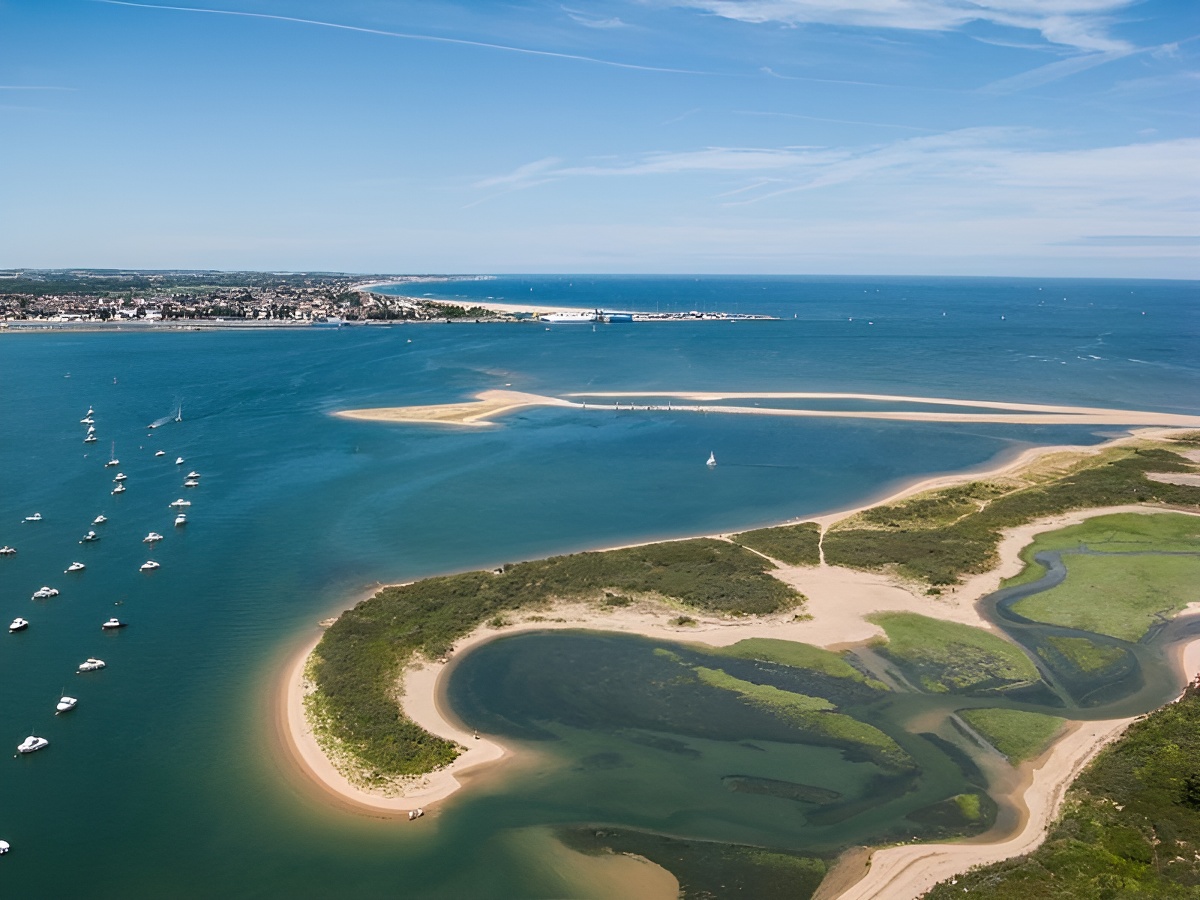 L'estuaire de l’Orne, Sallenelles - photo 2