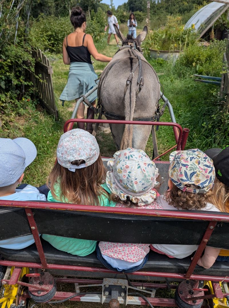 Bal'ane : découverte des plantes en carriole tirée par l'âne