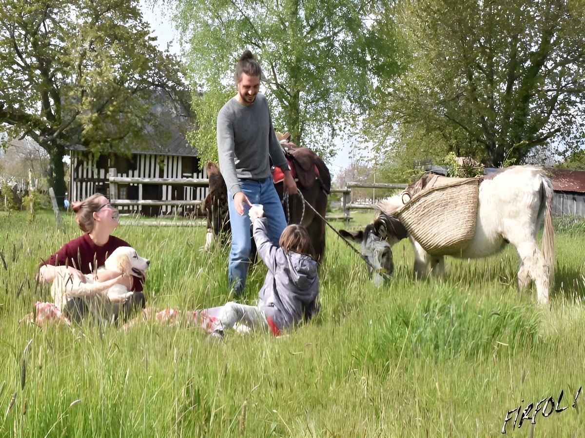 Petite vadrouille avec un âne (2h à 4h) au Domaine de Firfol, Firfol - photo 2