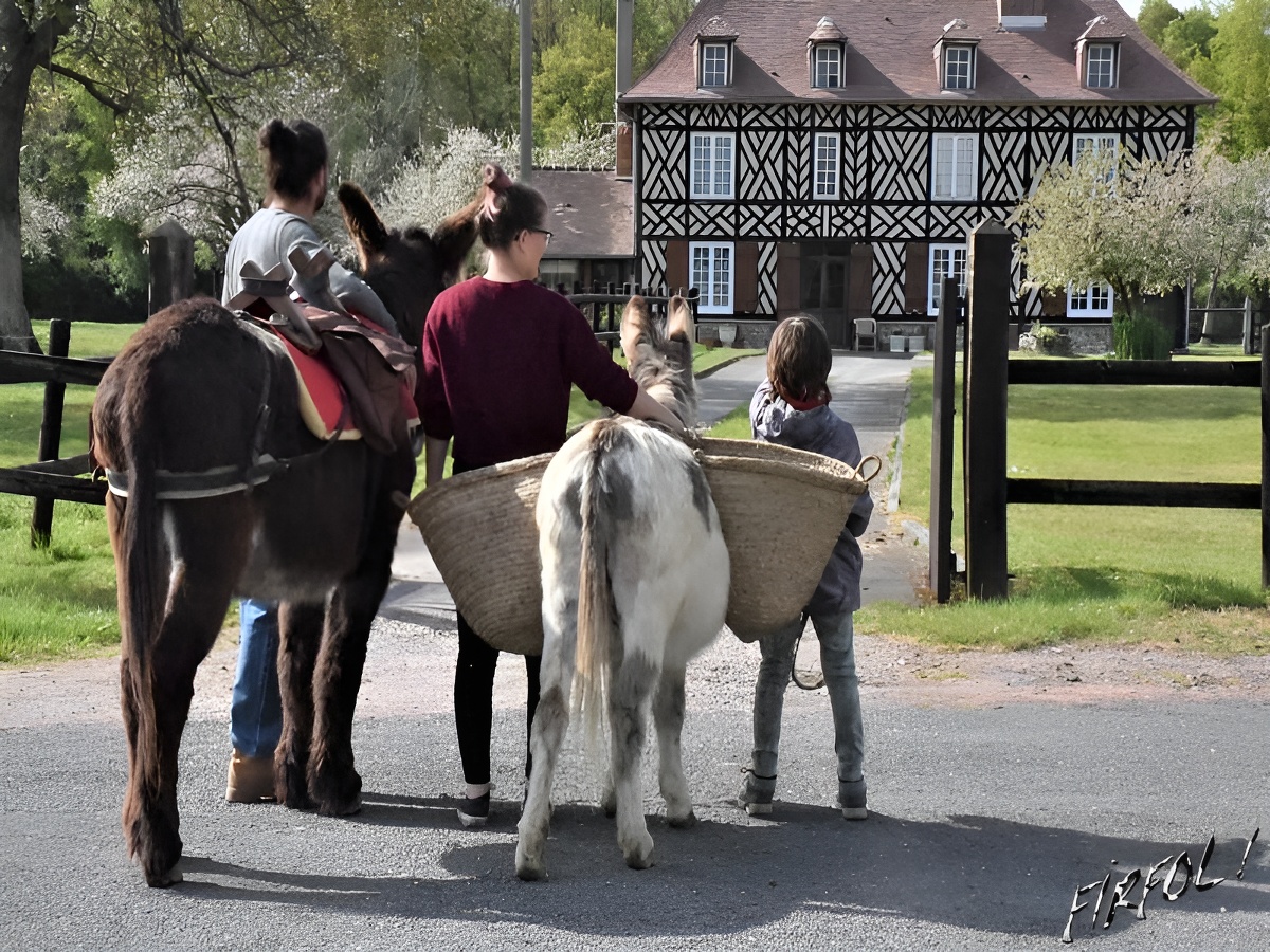 Petite vadrouille avec un âne (2h à 4h) au Domaine de Firfol, Firfol