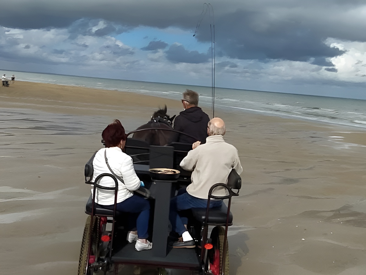 Charly Mobile, Houlgate - photo 2