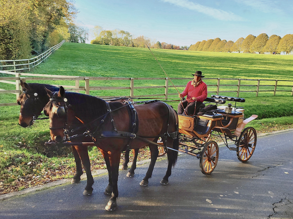 Balade en calèche dans la campagne augeronne