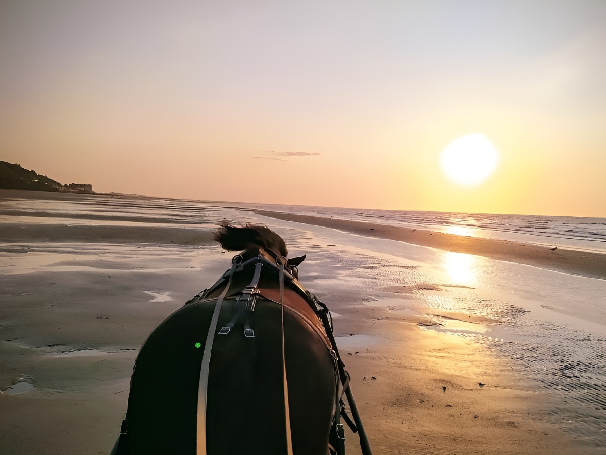 Charly Mobile, Houlgate - photo 8