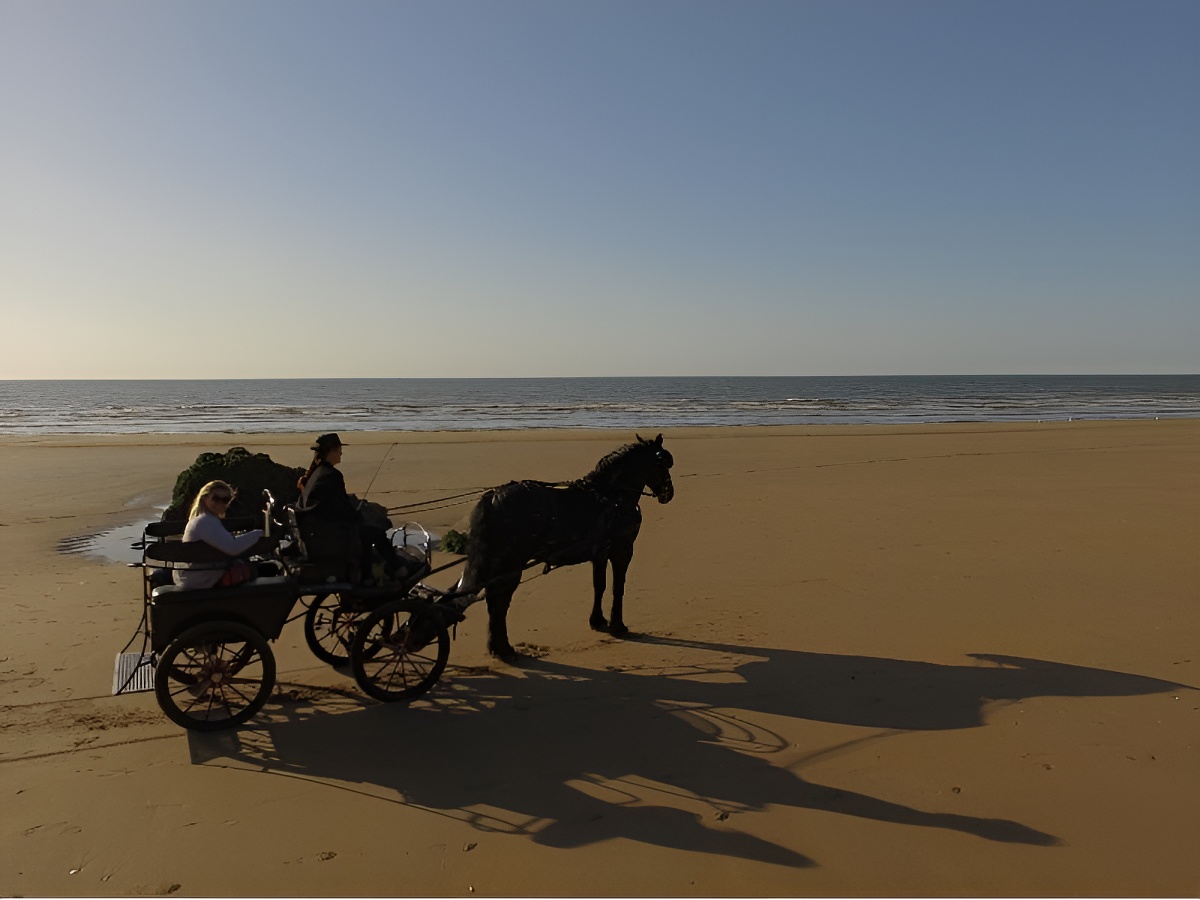 Charly Mobile, Houlgate - photo 13