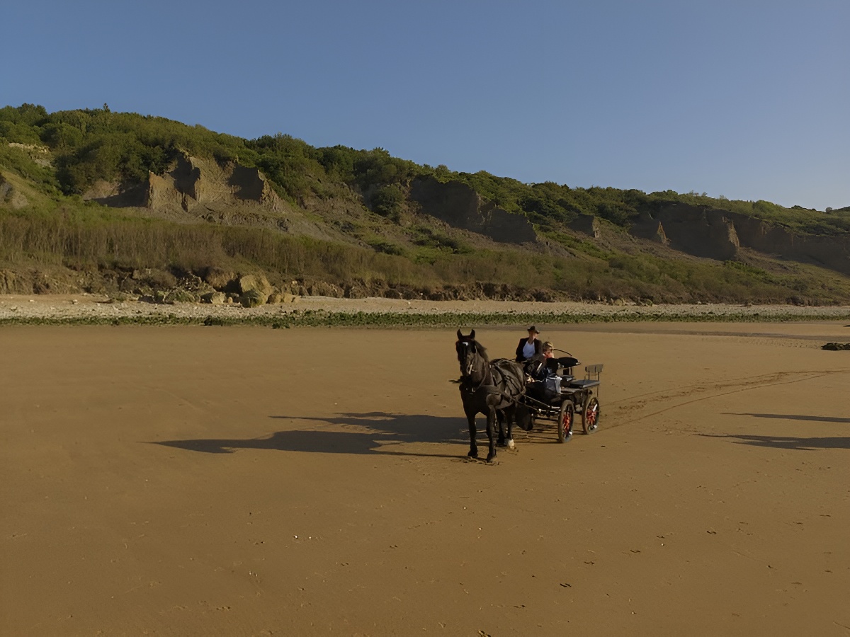 Charly Mobile, Houlgate - photo 14