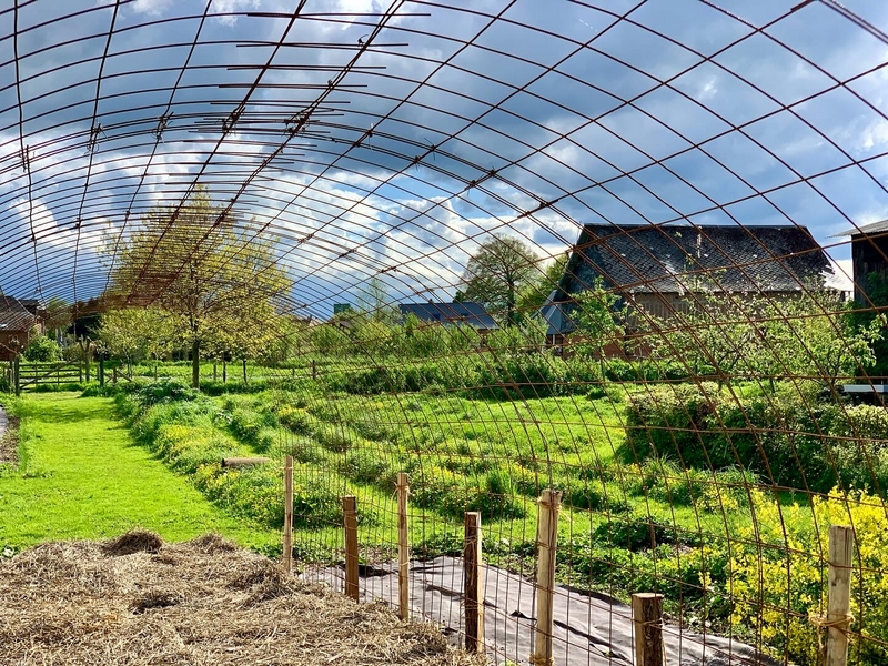 Tous au potager